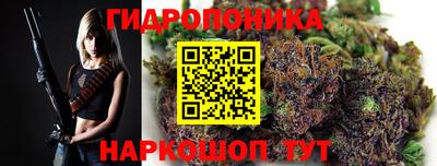 индика Будённовск
