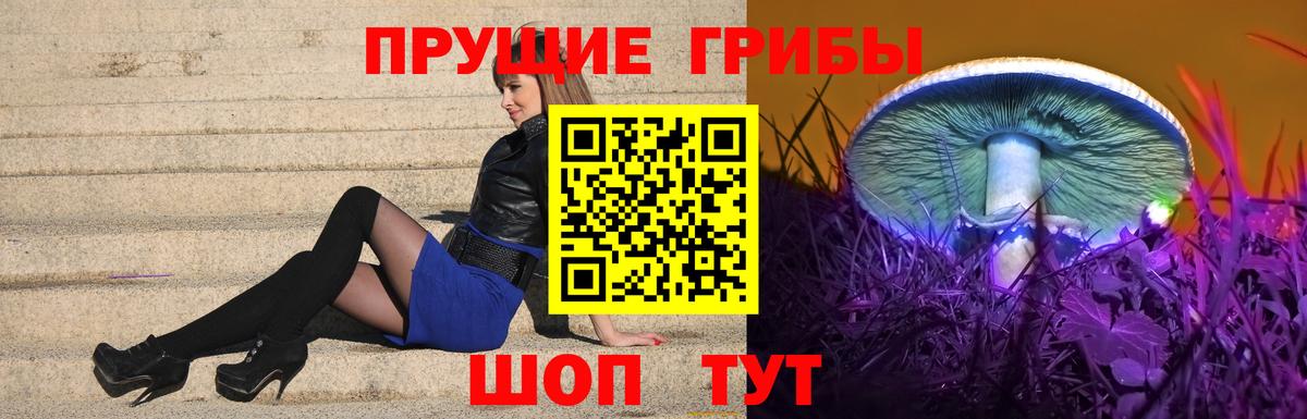 Пушкино  Галлюциногенные грибы прущие грибы  где можно купить наркотик  Вход с VPN 
